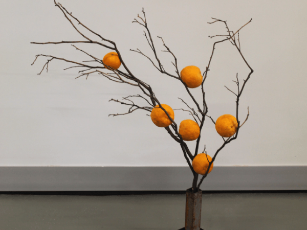 Arte, Espacio Público y&nbsp;Naturaleza