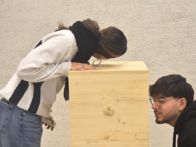 Trabajo Final de&nbsp;Grado